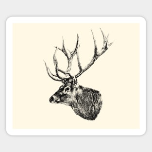 Deer portrait Sticker